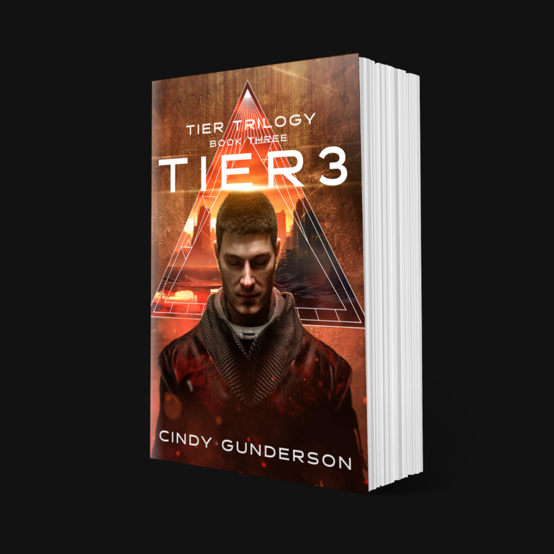 Tier 3 Paperback
