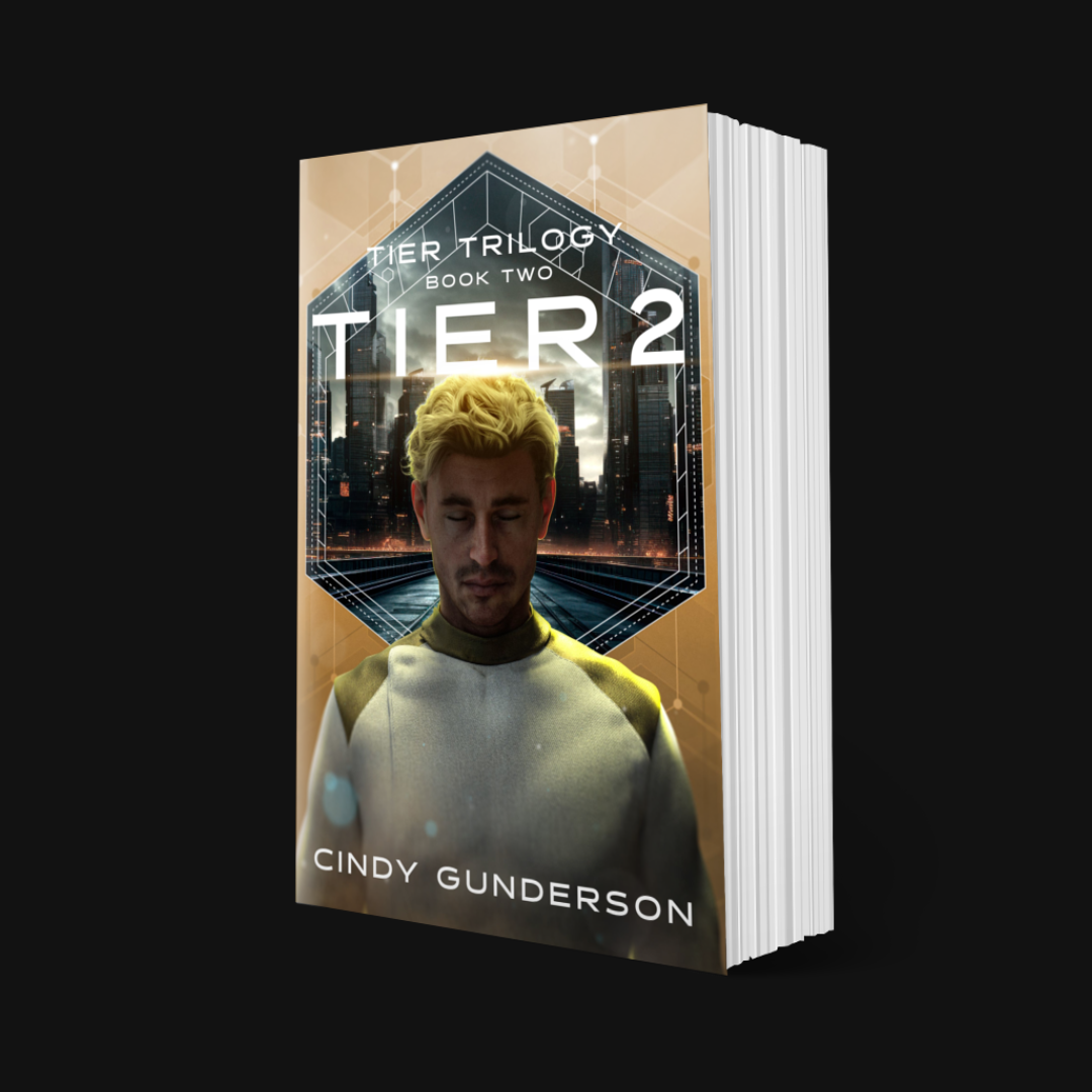 Tier 2 Paperback