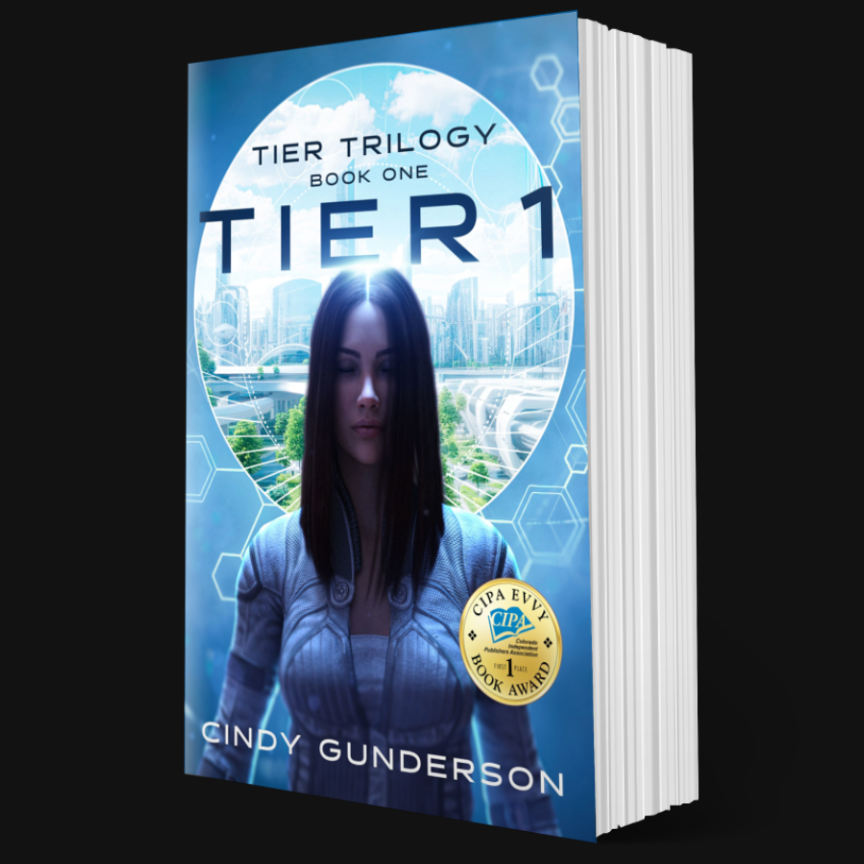 Tier 1 Paperback