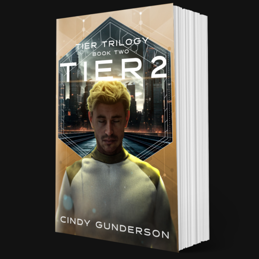 Tier 2 Paperback