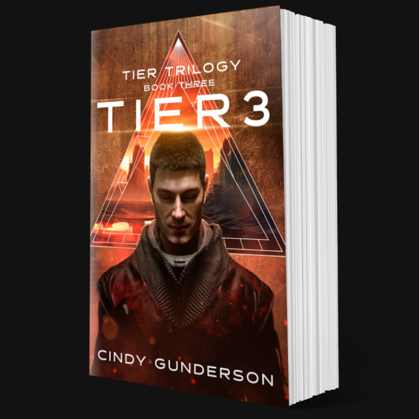 Tier 3 Paperback